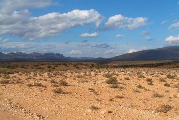 Anysberg Nature Reserve, Karoo,  Western Cape,
